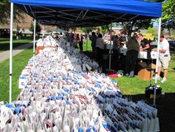 Pepsi Youth Day Bags