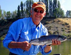 Brewster Sockeye Rollie