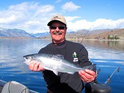 Chelan Kokanee Me