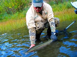 Grande Ronde Wild Fish